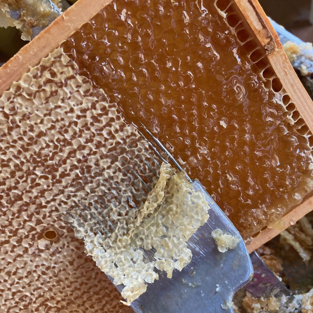 Bienenhaus – Honigernte